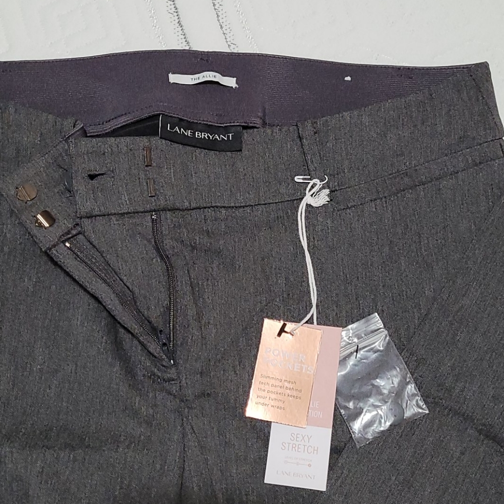 Lane Bryant 14R Sexy Stretch Pants